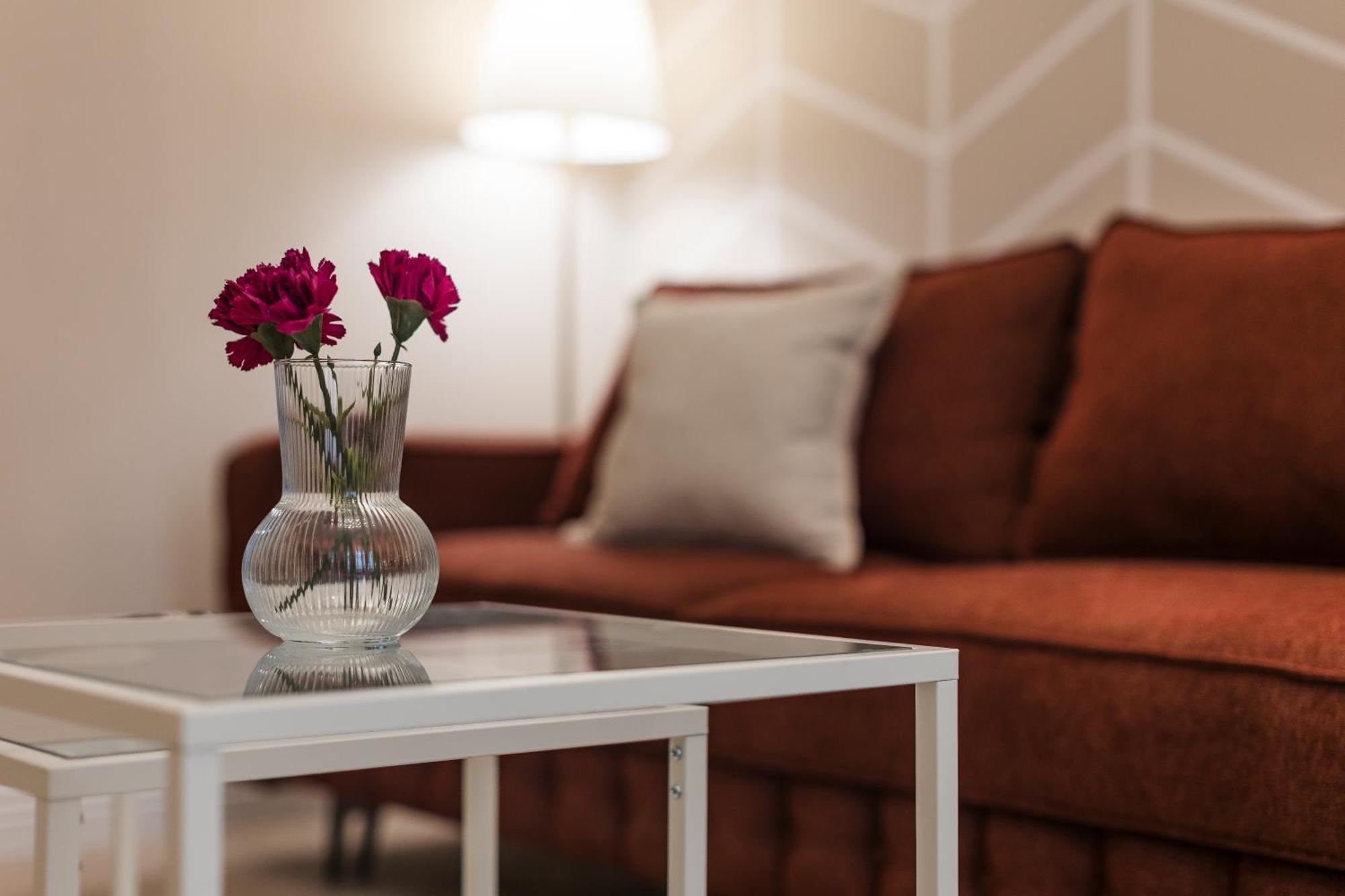 Comfy In Old Town Apartment Timişoara